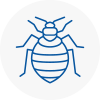 Bed Bug Extermination In Huntly