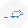 Mice Exterminators In Huntly