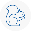 Huntly Rodent Removals