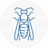 Huntly Wasp Nest Removal